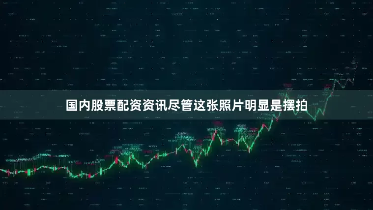 国内股票配资资讯尽管这张照片明显是摆拍