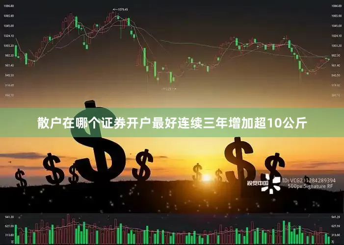 散户在哪个证券开户最好连续三年增加超10公斤