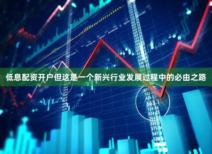 低息配资开户但这是一个新兴行业发展过程中的必由之路