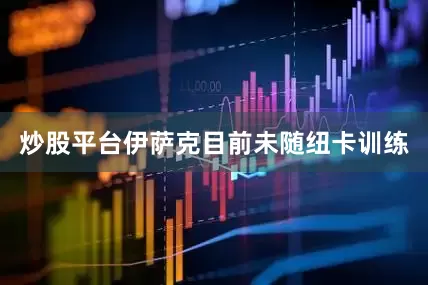 炒股平台伊萨克目前未随纽卡训练